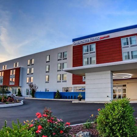 Springhill Suites By Marriott Scranton Montage Mountain Moosic Dış mekan fotoğraf